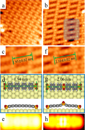 遲力峰院士，最新JACS！