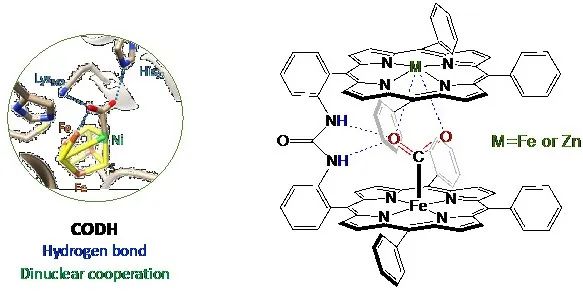 Angew.：雙金屬卟啉催化劑對二氧化碳電催化還原的推-拉效應(yīng)