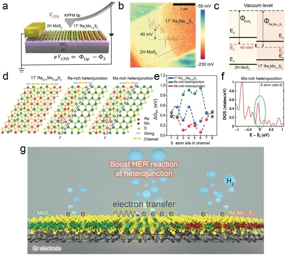 ?AFM：1T’RexMo1-xS2-2H MoS2橫向異質(zhì)結(jié)增強析氫反應(yīng)性能