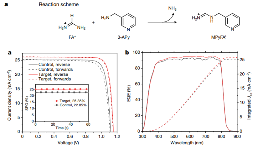 她，“正反兩派”，都拿下第一！發完Nature Photonics，出國再發Nature！