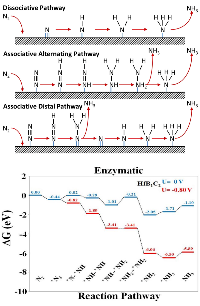 Nature Catalysis、JACS、Angew.、AM、AEM、AFM、EES等頂刊狂發，DFT代算好評如潮！