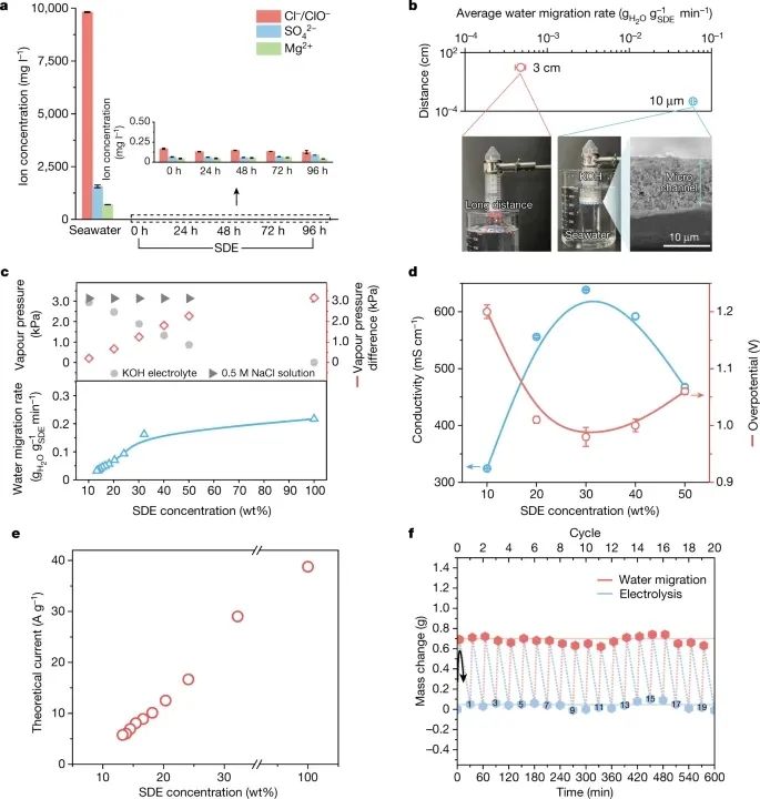深圳大學，最新Nature！