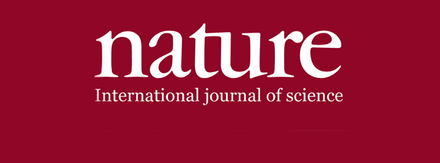 謝和平院士&邵宗平，最新Nature！