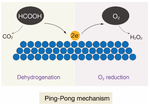 ?應化所董紹俊Angew：Pt-Au合金催化甲酸有氧氧化用于H2O2合成