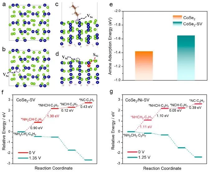 ?郭少軍/許審鎮ACS Catalysis：Se空位加上Ni取代，助力CoSe2高效電合成腈并產生氫氣