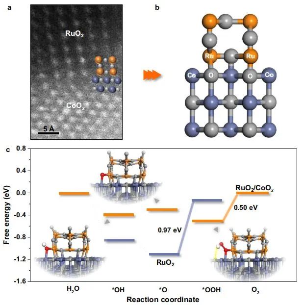 Nature子刊：界面工程打破RuO2穩定性和活性極限，實現可持續水氧化