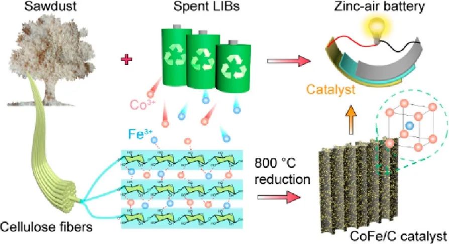 頂刊成果集錦：JACS、Angew.、Nature子刊、ACS Catalysis、ACS Nano等！