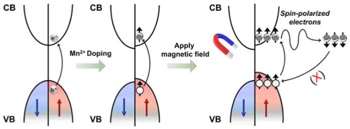 最新催化頂刊：JACS、EES、AM、AFM、ACS Catalysis、Nano Letters、NML等成果集錦！