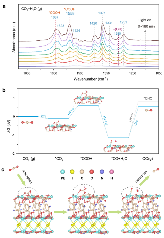 【催化+計算】最新頂刊：JACS、EES、Angew、Nature子刊、ACS Catalysis、ACS Nano等！