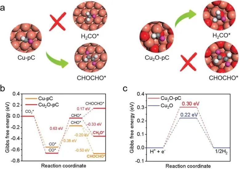 最新催化頂刊：JACS、EES、AM、AFM、ACS Catalysis、Nano Letters、NML等成果集錦！