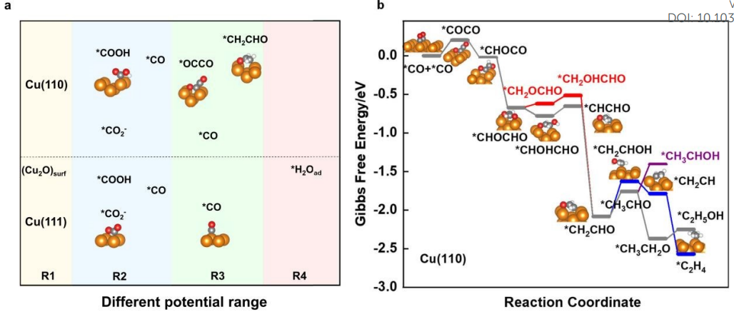 【催化+計算】最新頂刊：JACS、EES、Angew、Nature子刊、ACS Catalysis、ACS Nano等！