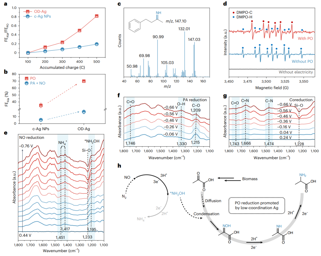 天津大學(xué)張兵教授課題組，今年第2篇Nature Catalysis！