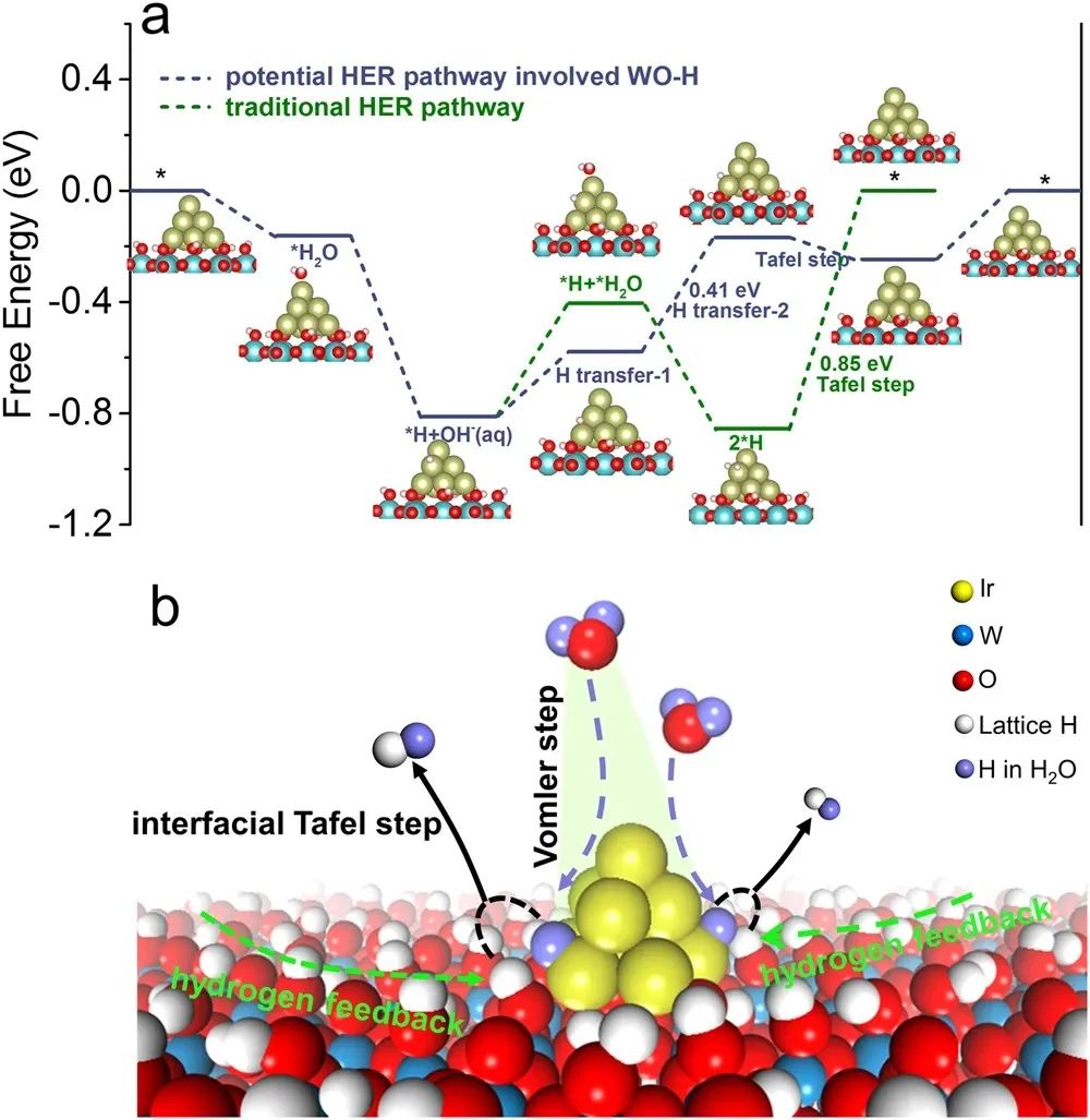 催化頂刊集錦：Nature子刊、Angew.、AFM、AM、Nano Energy、ACS Energy Lett.等！