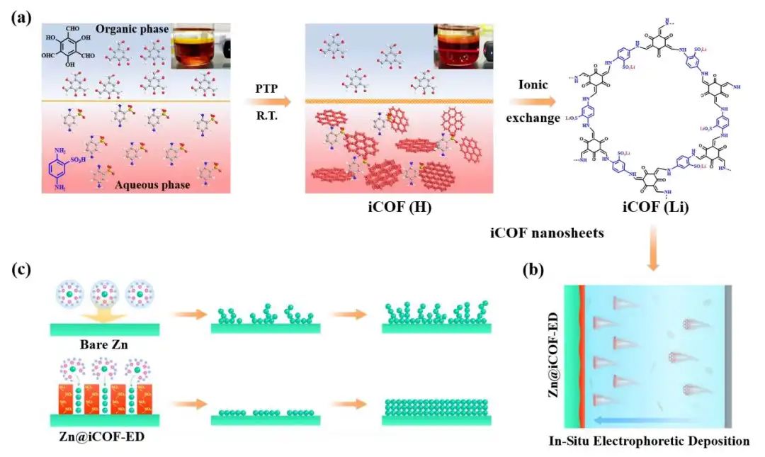 ?陳忠偉/王新/程博聞Nano Energy：原位電泳沉積法構(gòu)建COF人工SEI，穩(wěn)定鋅金屬負極