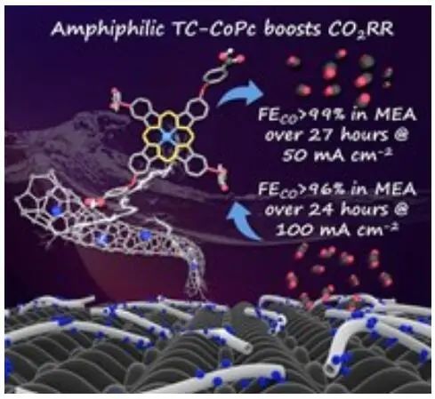 吳驪珠院士最新AM：FE近100%，四羧基苯基取代鈷酞菁助力CO2RR！