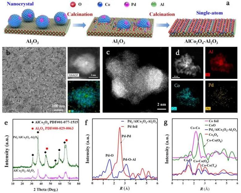 催化頂刊集錦：JACS、Nature子刊、Angew.、AFM、Adv. Sci.、ACS Catal.等成果