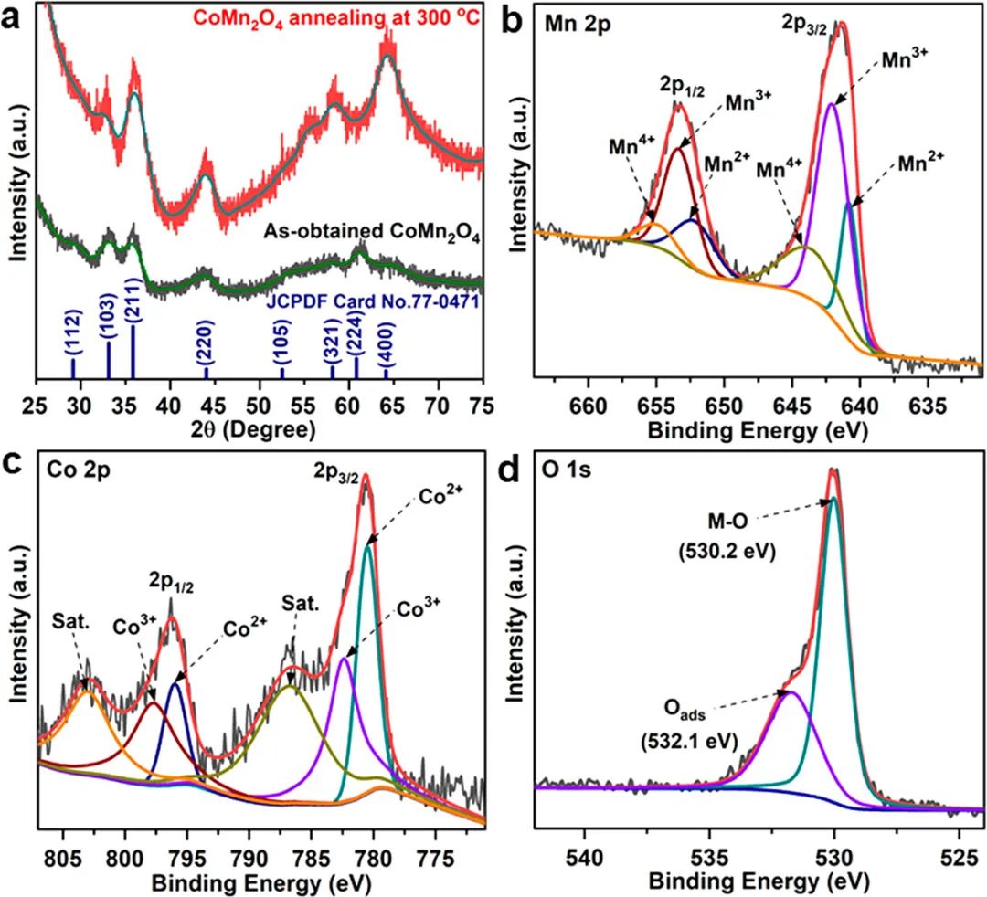 催化頂刊集錦：Angew.、AFM、Adv. Sci.、ACS Energy Lett.、ACS Catal.、CEJ等！