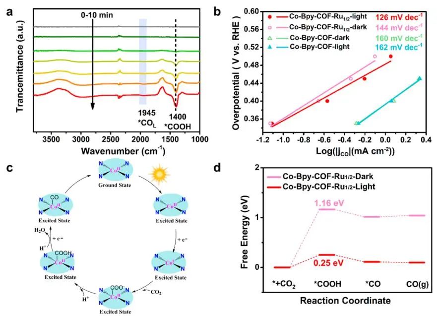【計算+實驗】頂刊速遞：4篇Angew.?、Chem、JACS、Nature子刊、ACS Catalysis等各一篇！