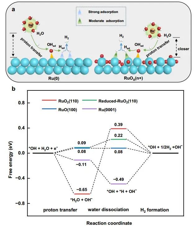 【計算+實驗】頂刊速遞：4篇Angew.?、Chem、JACS、Nature子刊、ACS Catalysis等各一篇！