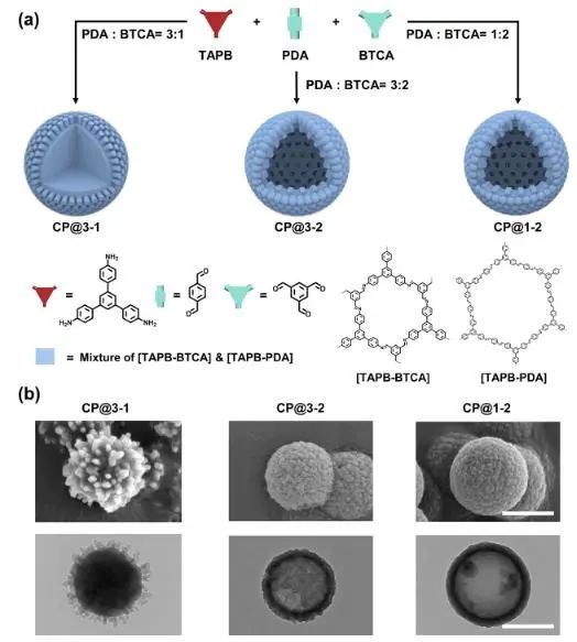 ?催化頂刊集錦：Nature Energy、JACS、Angew.、Nature子刊、AM、AFM、ACS Catal.等