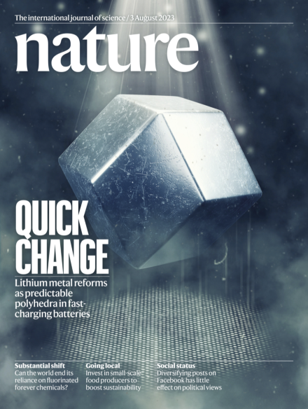 顛覆傳統(tǒng)！鋰金屬電池，登上Nature封面！