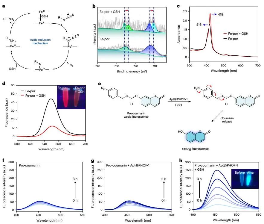 曲曉剛研究員，最新Nature Catalysis！