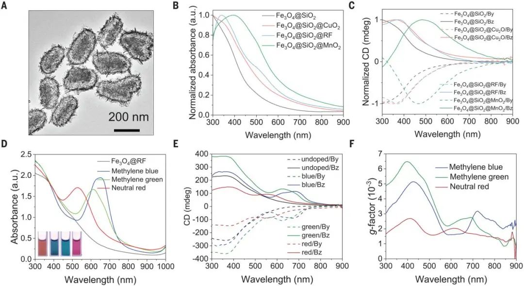 殷亞東團隊，最新Science！