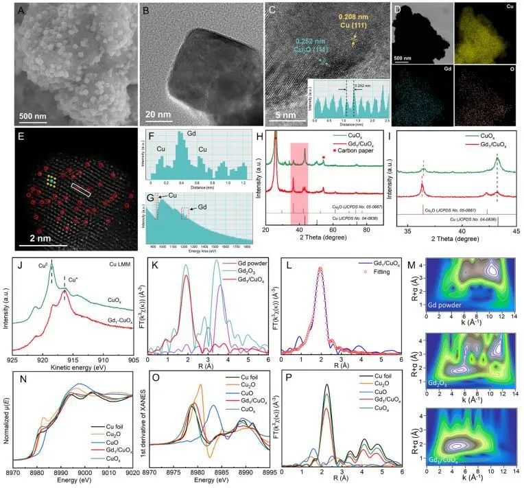 催化頂刊集錦：JACS、Angew.、AFM、ACS Catal.、Adv. Sci.、Small等成果