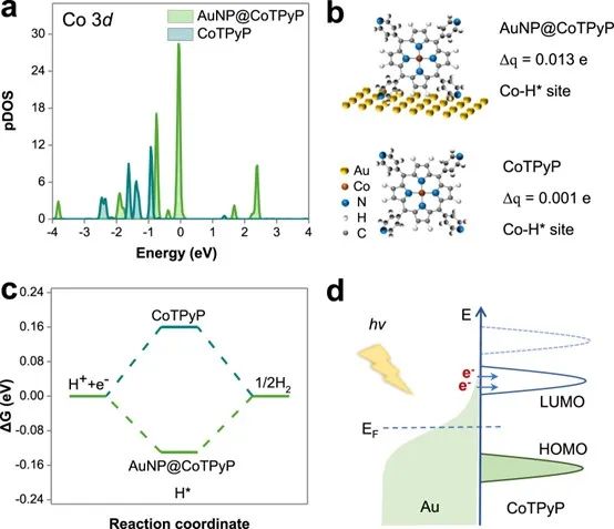 催化頂刊合集：Nature子刊、JMCA、Small、Carbon Energy、AFM、CEJ等成果！