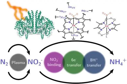 催化頂刊集錦：Nature、JACS、EES、ACS Catal.、ACS Nano、Small等成果精選！