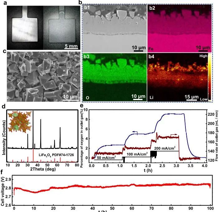 催化頂刊集錦：Nature子刊、JACS、EES、AM、AFM、Nano Letters等成果