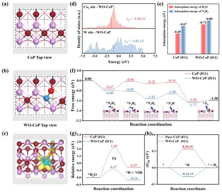 催化頂刊速遞：Nature Catalysis、EES、Nature子刊、Angew、Sci. Adv.、ACS Nano等成果