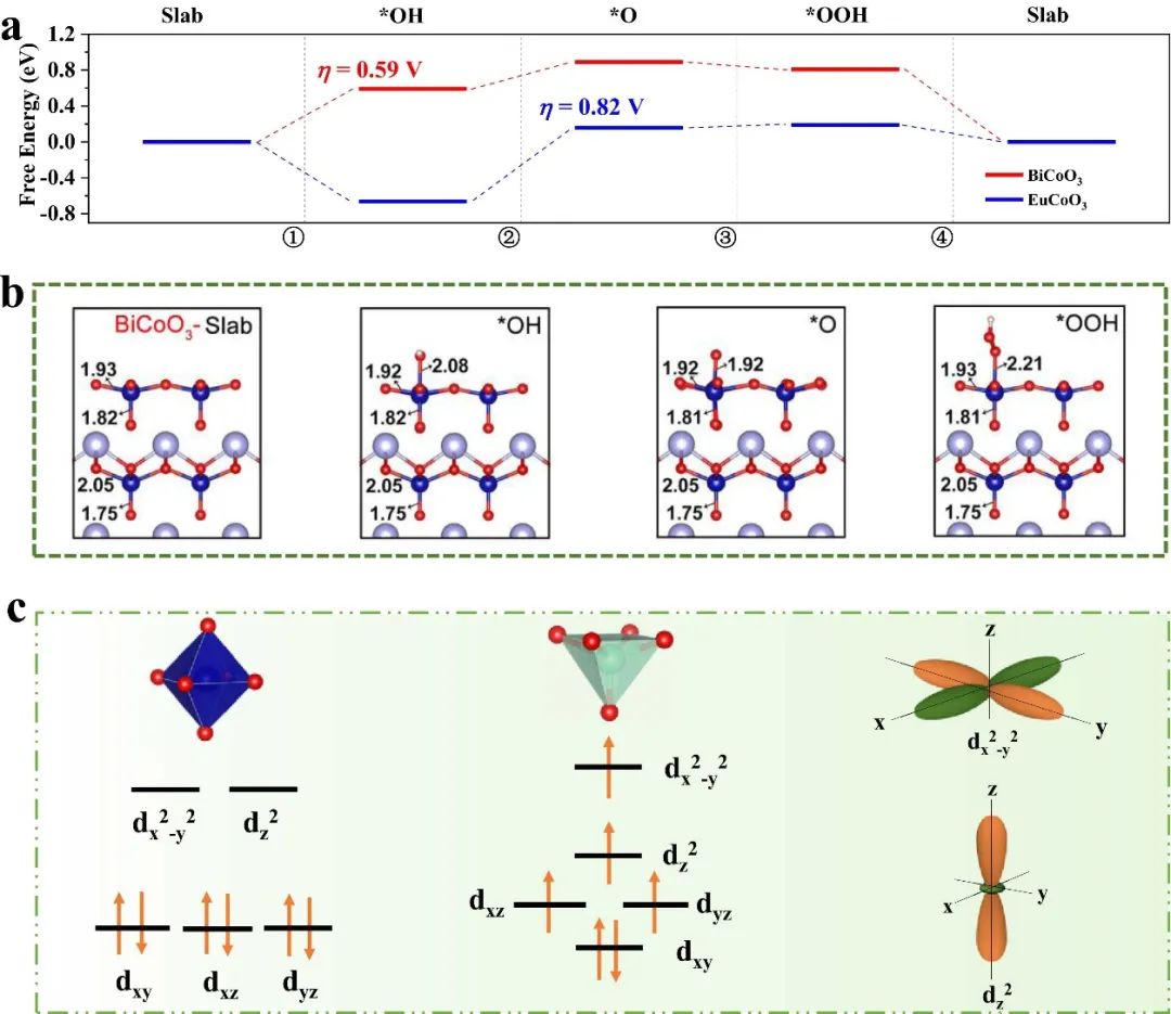 催化頂刊合集：JACS、Angew.、AFM、Small、Appl. Catal. B、JEC等成果