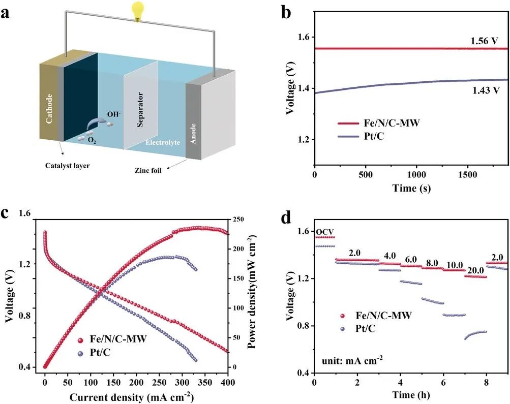 催化頂刊合集：JACS、Angew.、AFM、Small、Appl. Catal. B、JEC等成果