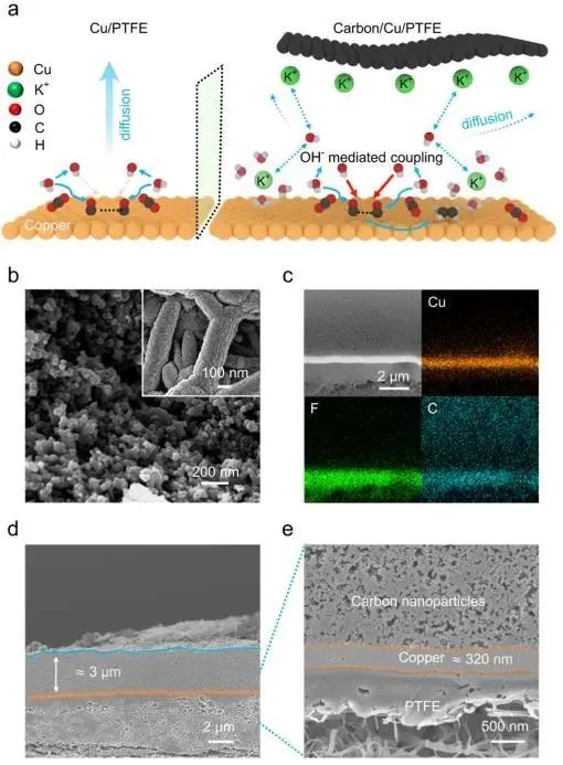催化頂刊集錦：Nature子刊.、Angew.、JACS、ACS Catalysis、AFM、Small等成果