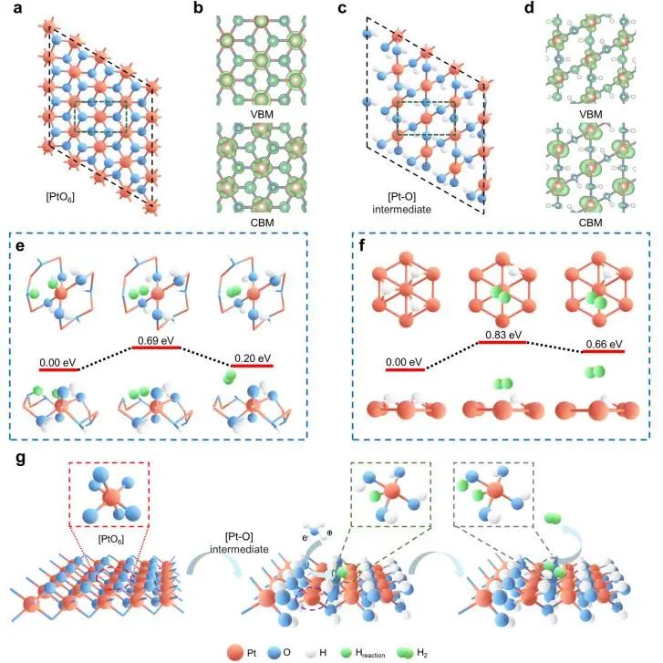 催化頂刊集錦：Nature子刊、JACS、EES、AM、AFM、Nano Letters等成果