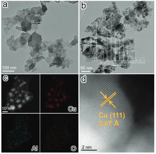 催化頂刊集錦：JACS、Nat. Commun.、AFM、ACS Catal.、Adv. Sci.、Small等