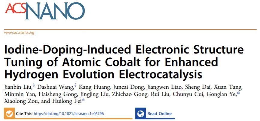 8篇催化頂刊：Nat. Commun.、ACS Nano、Nano Energy、Nano Lett.等成果