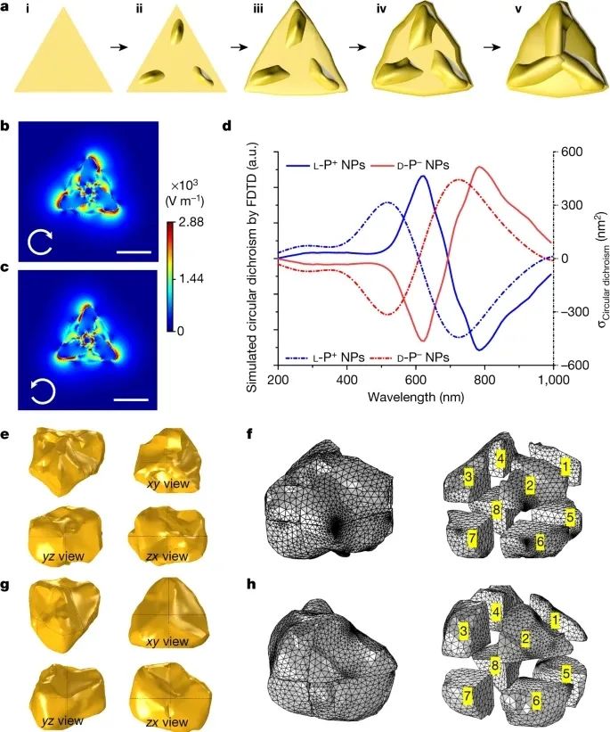 歷史性突破！江南大學(xué)最新Nature！