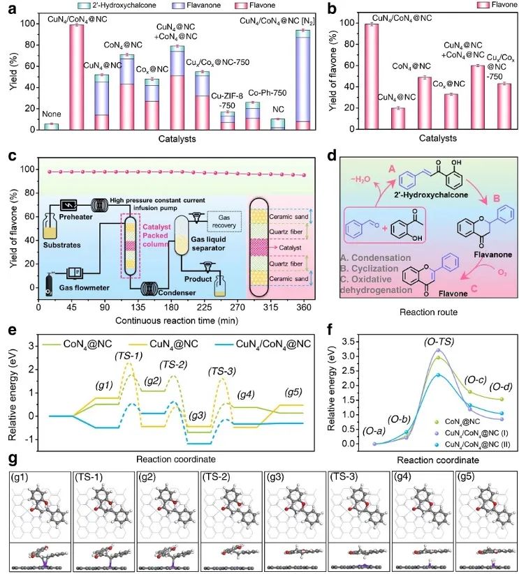 李映偉&房瑞琪，最新Nature子刊！