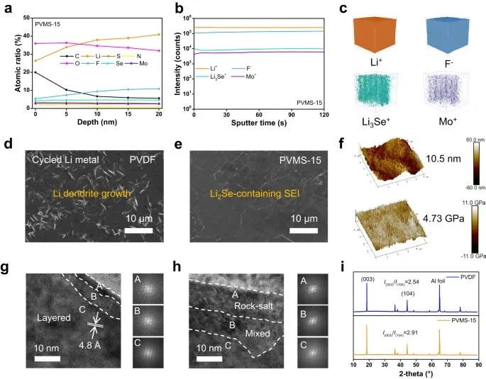 浙大陸盈盈，最新Nature子刊！