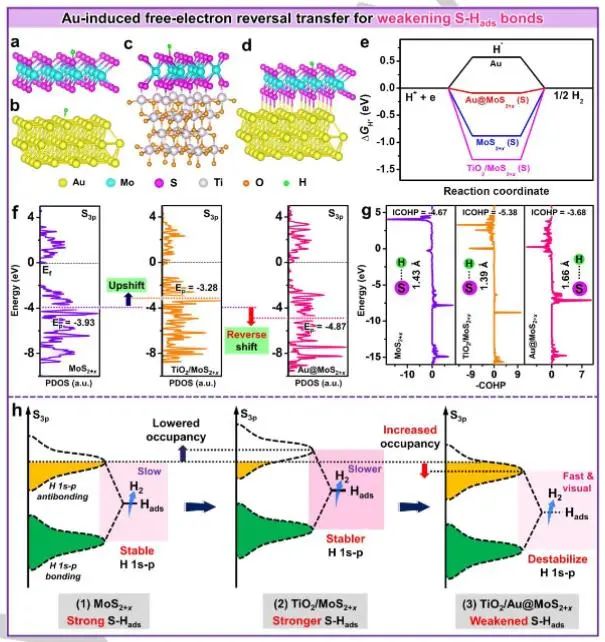 催化頂刊集錦：JACS、Angew.、AFM、ACS Catal.、Adv. Sci.、Small等成果