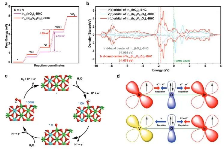 催化頂刊集錦：JACS、Angew.、AFM、ACS Catal.、Adv. Sci.、Small等成果