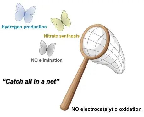 王雙印/陳晨Angew. ：FE近100%！碳布上電催化NO氧化與HER耦合制硝酸鹽