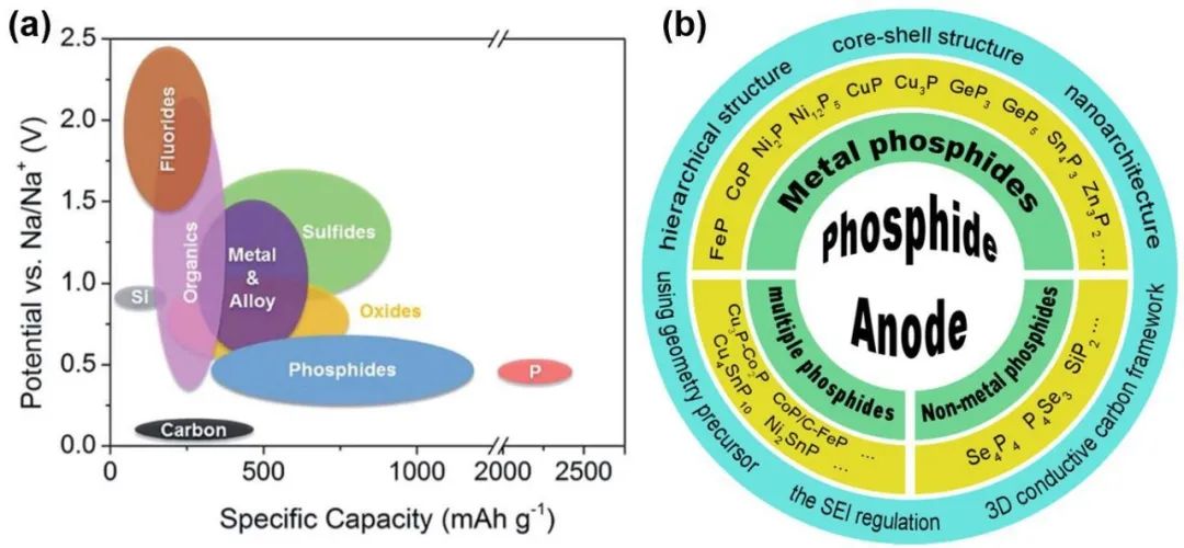 浙工大陶新永/劉鐵峰Nano Energy：提高鈉離子電池磷化物負極性能的策略