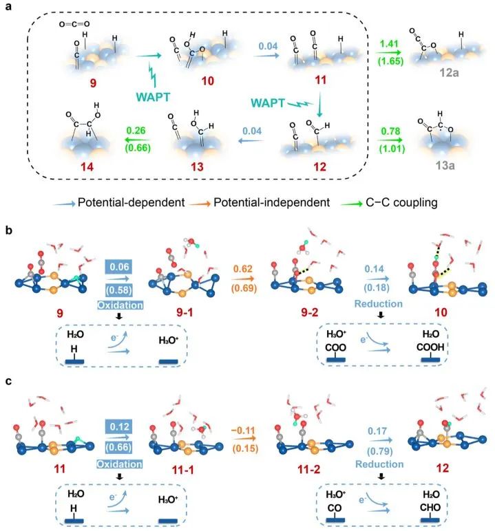 計算+實驗頂刊集錦：Nature子刊、Angew.、AEM、AFM、ACS Catal.、Small等成果精選！