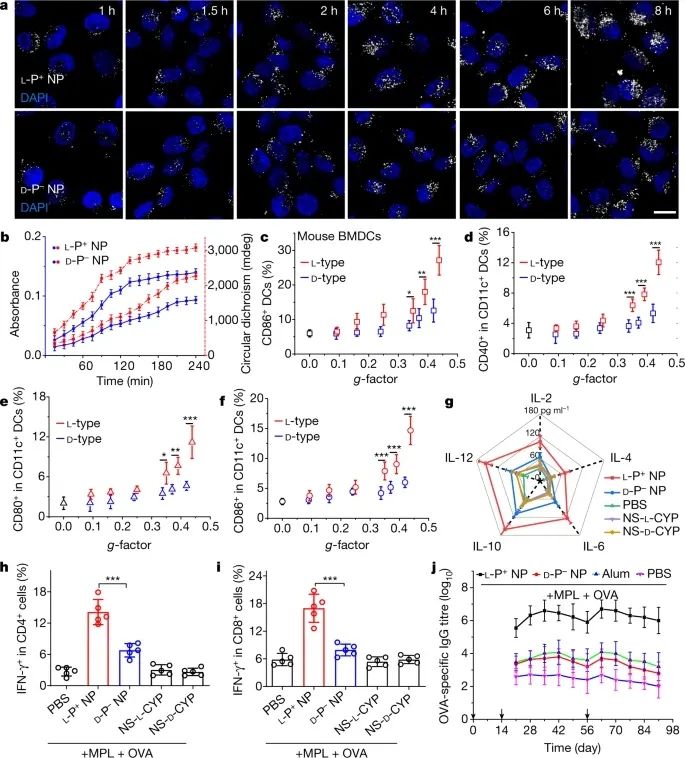 歷史性突破！江南大學(xué)最新Nature！