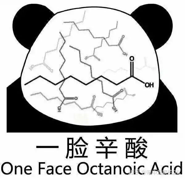 知乎熱議||讀博的壓力究竟有多大？看完，你還會選擇讀博嗎？