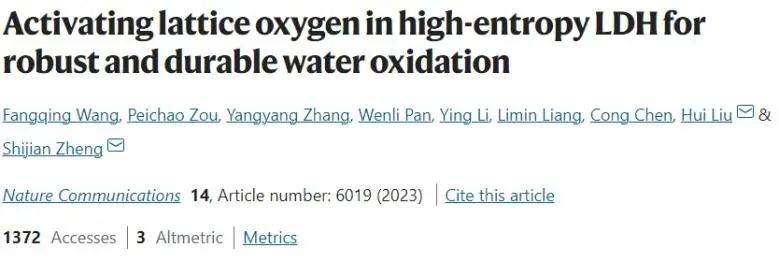 ?河工大Nature子刊：Au單原子協(xié)同O空位，活化高熵LDH中的晶格氧以穩(wěn)定催化OER