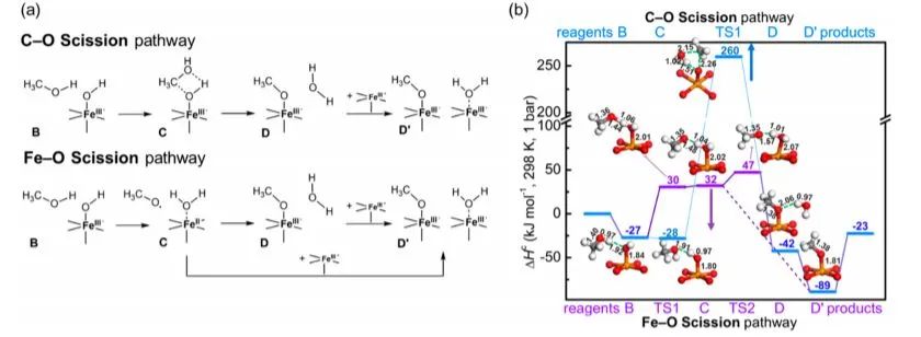 JACS: 超越自由基回彈：金屬-有機框架節點中鐵物種催化甲烷氧化成甲醇